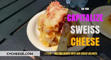 Swiss Cheese Capitalization: When to Capitalize 'Swiss' in Food Writing