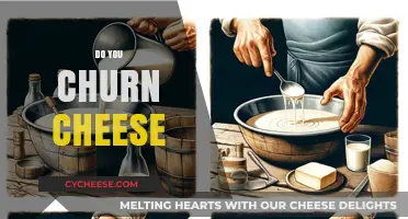 Mastering Cheese Churning: Techniques, Tips, and Perfect Results Explained