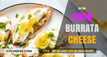 The Art of Cooking with Burrata Cheese