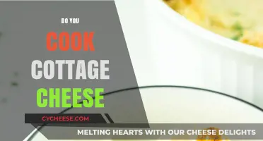 Cottage Cheese Cooking: Creative Ways to Prepare This Versatile Ingredient