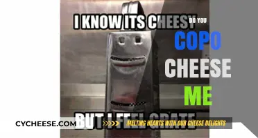 Do You Copy Me? Decoding the Hilarious 'Copo Cheese' Meme Craze