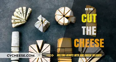 Cutting the Cheese: Etiquette, Science, and Social Norms Explained