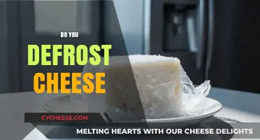 Should You Defrost Cheese? Tips for Proper Cheese Storage and Use