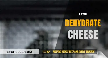 Can You Dehydrate Cheese? A Complete Guide to Preserving Dairy