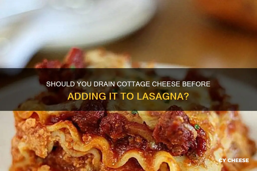 do you drain cottage cheese before using in lasagna