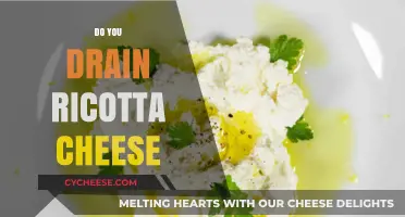 Should You Drain Ricotta Cheese? Tips for Perfect Texture Every Time