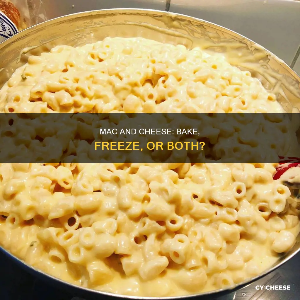 do you freeze macaroni cheese before after baking