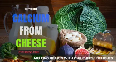 Cheese: A Calcium-Rich Superfood?
