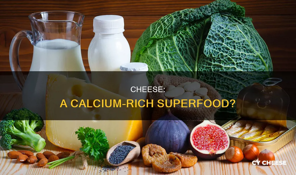 do you get calcium from cheese