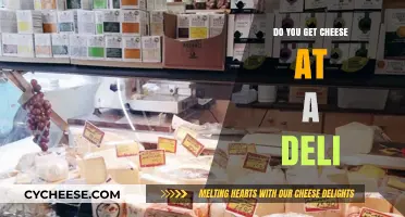 Cheese and Deli: The Perfect Pairing