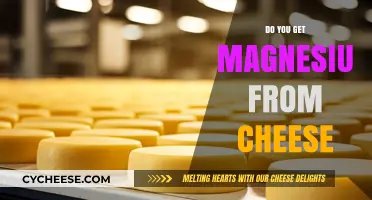 Cheese and Magnesium: A Healthy Combination?