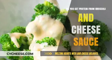 Broccoli and Cheese: A Protein-Rich Combo?