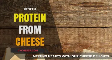 Cheese: A Protein-Rich Superfood?