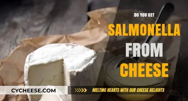 Can Salmonella Lurk in Your Cheese?