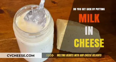 Cheese and Milk: A Healthy Combination?