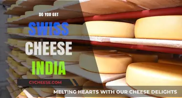 Swiss Cheese in India: Availability and Accessibility