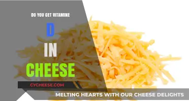 Cheese: A Vitamin D Source?