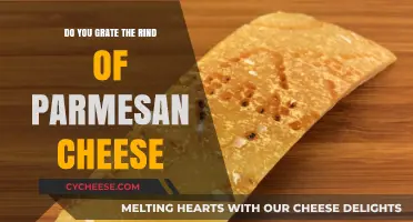 The Art of Grating Parmesan Cheese Rind