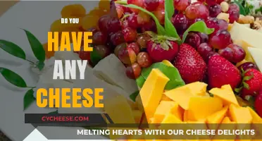 Do You Have Any Cheese? Exploring the Universal Love for Dairy Delights