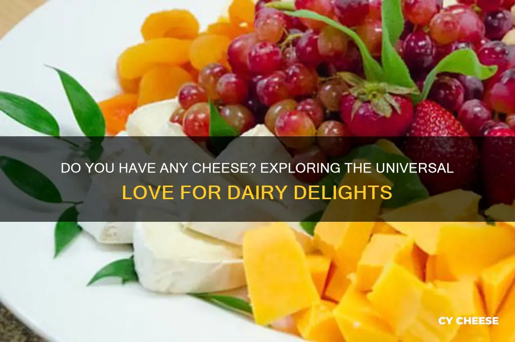 do you have any cheese