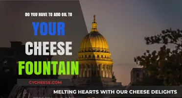 Cheese Fountain Tips: Is Adding Oil Necessary for Smooth Melting?