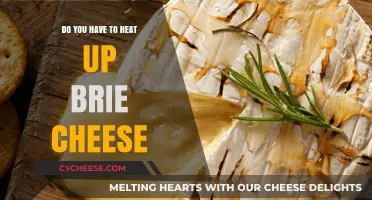 Should You Heat Up Brie Cheese? Tips for Perfect Melting