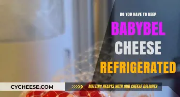 Does Babybel Cheese Need Refrigeration? Storage Tips for Freshness