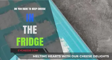 Should Cheese Be Refrigerated? Storage Tips for Optimal Freshness