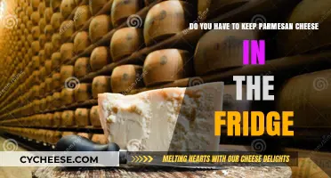 Parmesan Storage: Fridge or Pantry?