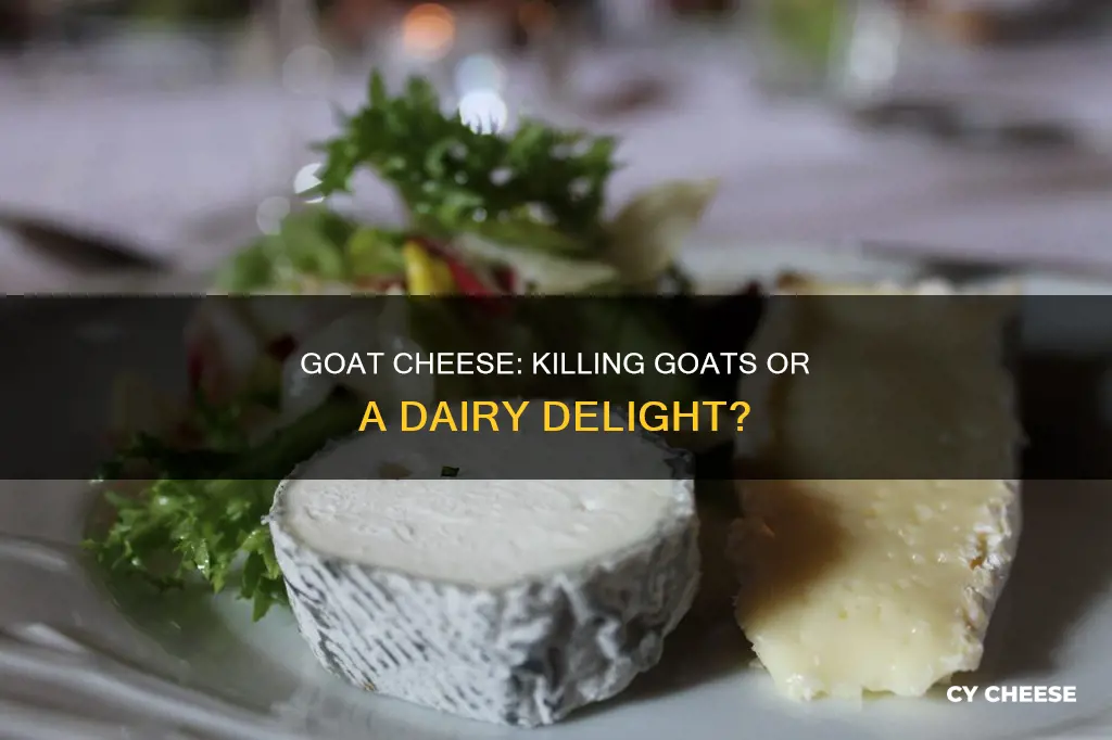 do you have to kill the goat for goat cheese