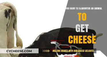 Cheese and Animal Slaughter: What's the Link?