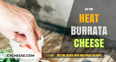 Should You Heat Burrata Cheese? Tips for Perfect Melting and Serving