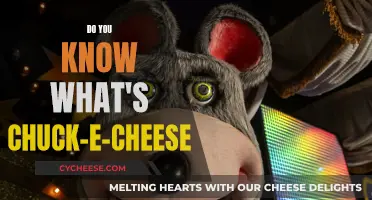 Chuck E. Cheese: A Kid's Dream Come True