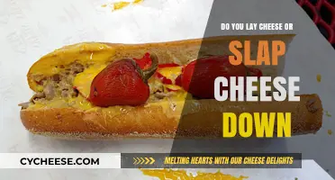 Lay or Slap? The Great Cheese Placement Debate Explained