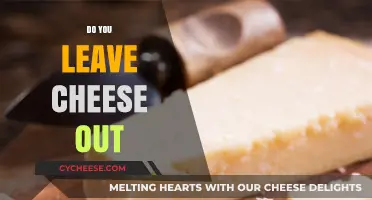Should You Leave Cheese Out? Tips for Proper Storage and Freshness