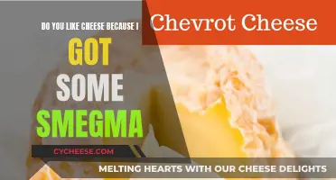 Cheese and Smegma: A Strange Taste Comparison