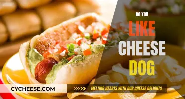 Cheese Dog: Delicious or Disgusting?
