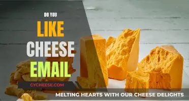Cheese Connoisseurs: The Email Edition