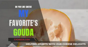 Cheese Appreciation: Gouda, a Favorite Among Many