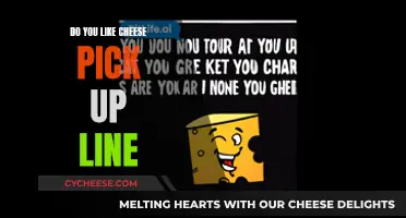 Cheesy Pick-Up Lines: Do They Work?