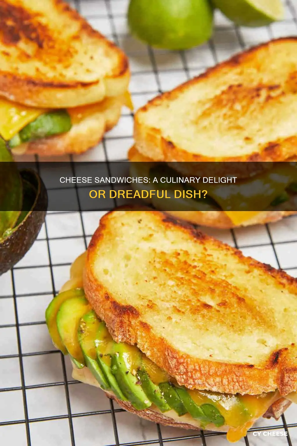 do you like cheese sandwiches