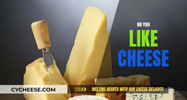 Cheese: Delicious or Disgusting?
