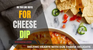Cheese Dip with Rotel: A Tasty Snack Option?