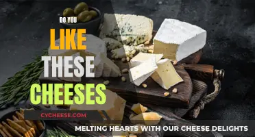 Cheese Connoisseur: Exploring Varieties, Seeking Answers