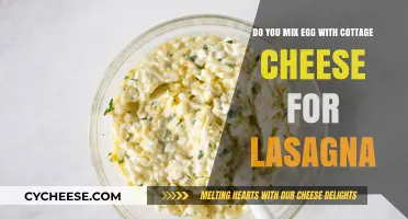 Mixing Egg and Cottage Cheese: A Lasagna Recipe Twist