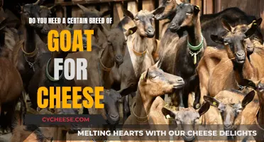 Goat Cheese: Does Breed Matter?