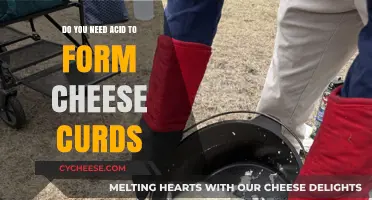 Cheese Curds Without Acid: Myth or Reality?