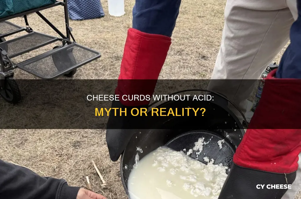 do you need acid to form cheese curds