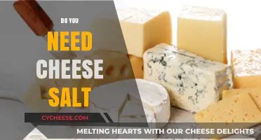 Cheese Salt: Essential or Optional for Perfect Cheese Making?