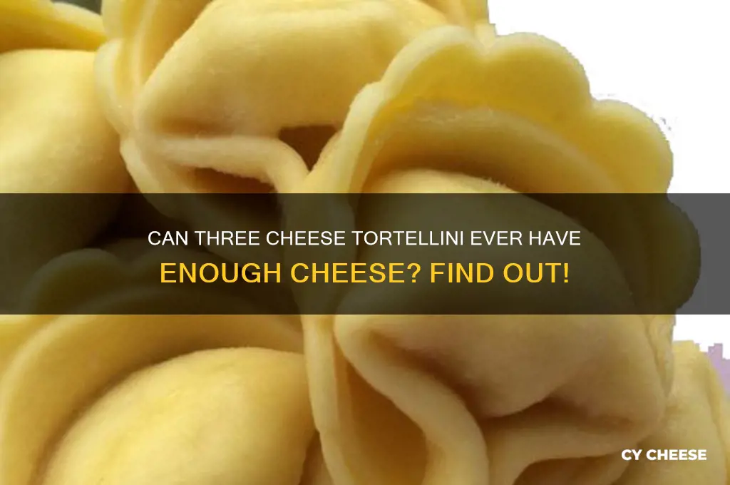 do you need more cheese with three cheese tortellini